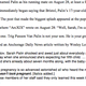 Image for article titled Did Sarah Palin Carry Out the Biggest Hoax in American Political History?